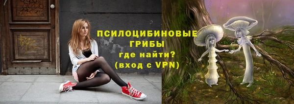 ГАЛЛЮЦИНОГЕННЫЕ ГРИБЫ Алексин