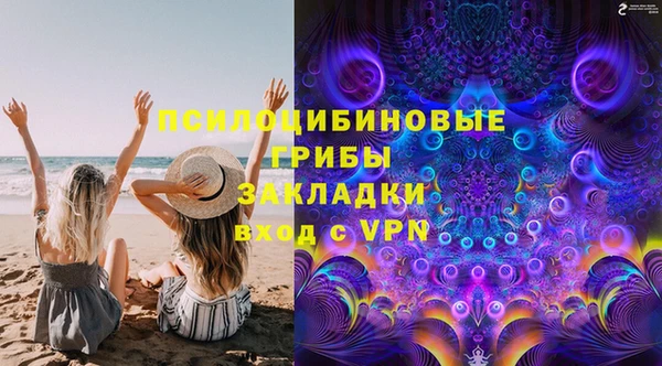 ГАЛЛЮЦИНОГЕННЫЕ ГРИБЫ Алексин