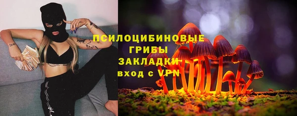 ГАЛЛЮЦИНОГЕННЫЕ ГРИБЫ Алексин